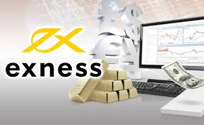 Everything You Need to Know About Your Exness Trading Account Everything You Need to Know About Your Exness Trading Account