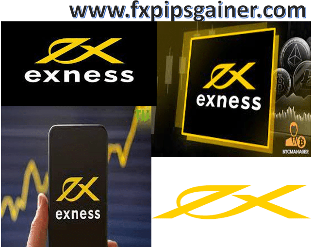 Exploring the Benefits and Features of Exness Trading Exploring the Benefits and Features of Exness Trading